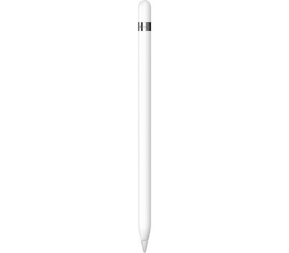 Apple pencil 1GEN + USB-C adapter / SK (MQLY3ZM/A)