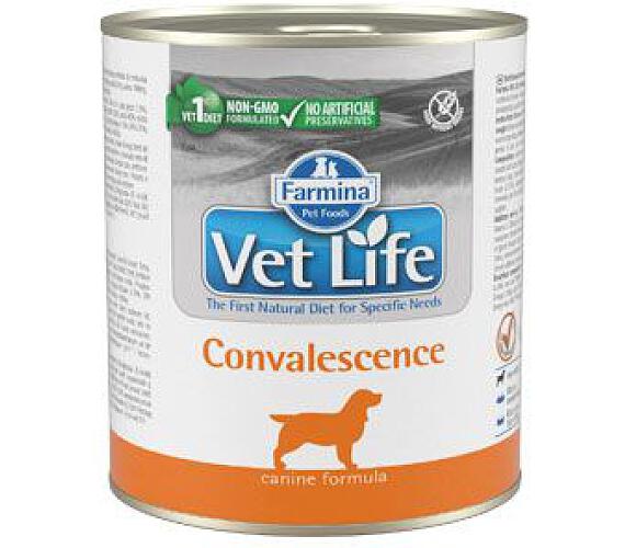 Vet Life Natural (Farmina Pet Foods) Vet Life Natural DOG konz. Convalescence 300g