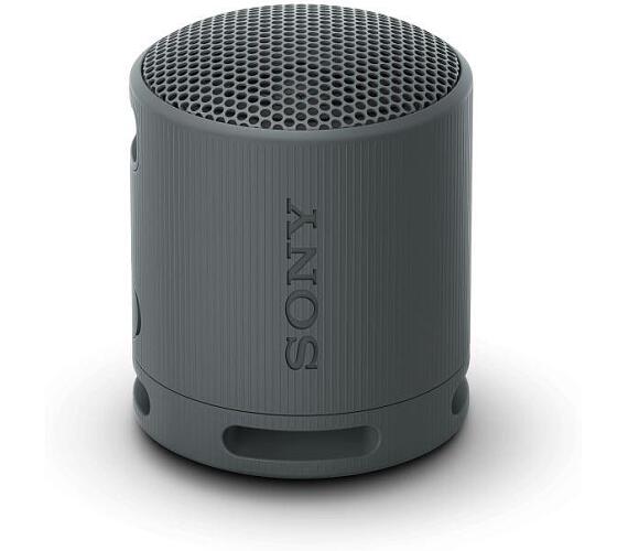 Sony SRS-XB100/Mono/Černá (SRSXB100B.CE7)