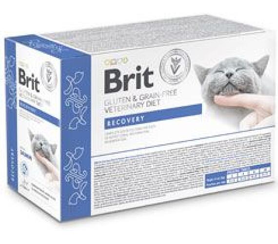 Brit Veterinary Diets Brit VD Cat Pouch fillets in Gravy Recovery 12x85g