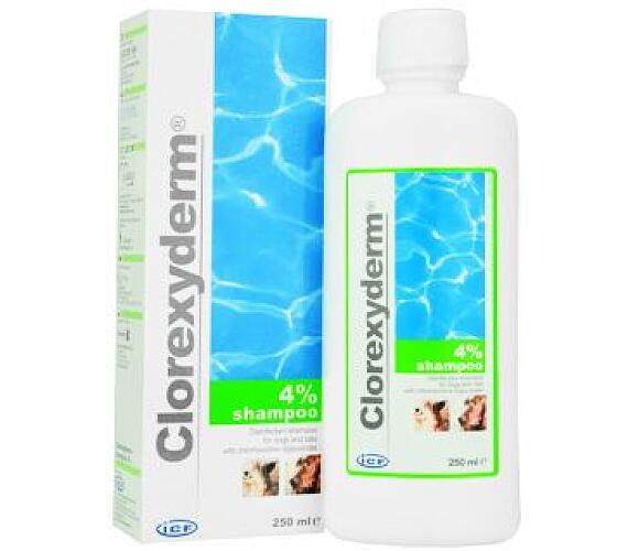 ICF Clorexyderm shampoo 4% 250ml
