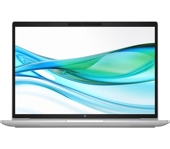 HP 445 G11 W11H Silver