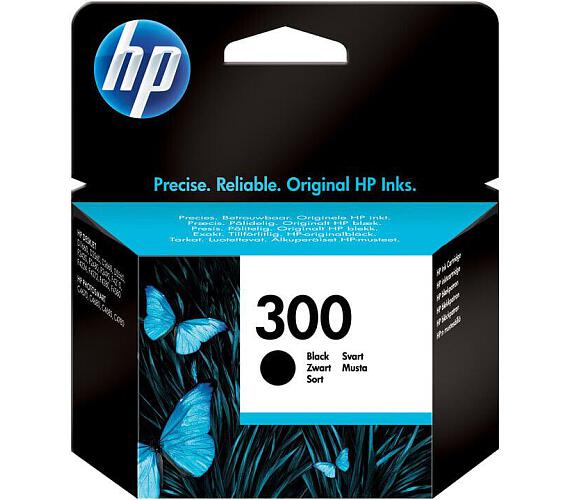 HP Inc. HP 300 Black Original Ink Cartridge (CC640EE#BA3)