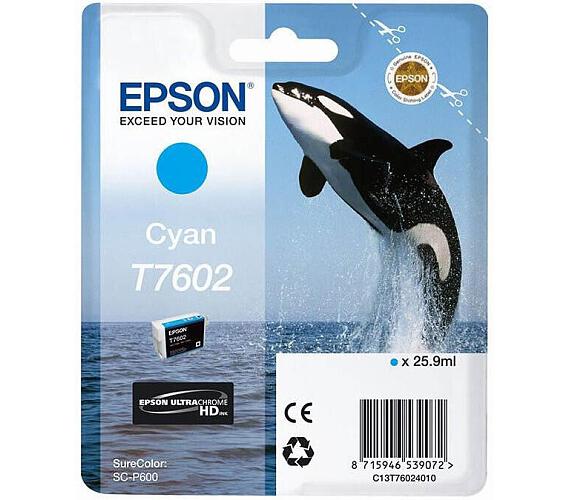 Epson T7602 Ink Cartridge Cyan (C13T76024010)