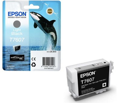 Epson T7607 Ink Cartridge Light Black (C13T76074010)