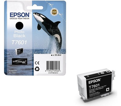 Epson T7601 Ink Cartridge Photo Black (C13T76014010)