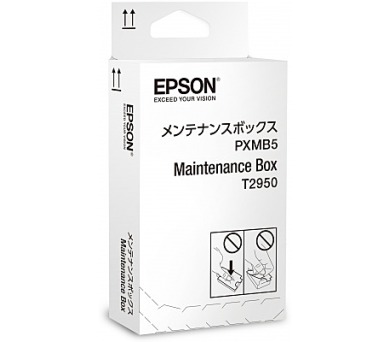 Epson WorkForce WF-100W Maintenance Box (C13T295000)