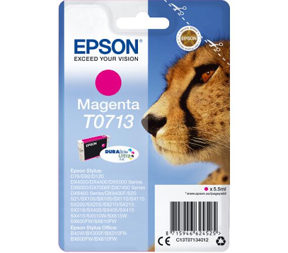 Epson Singlepack Magenta T0713 DURABrite Ultra Ink (C13T07134012)