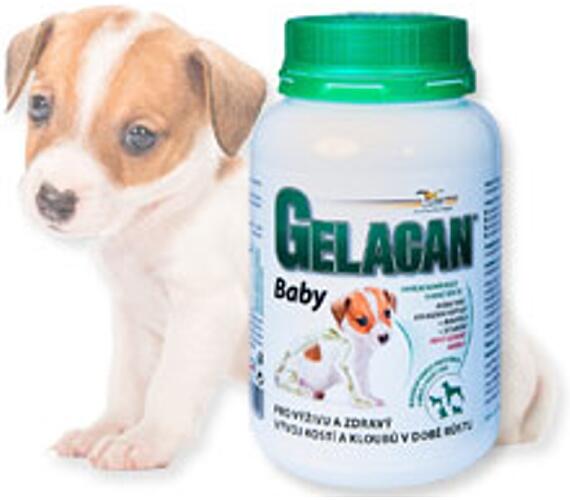 Gelacan plus Baby plv 150 g