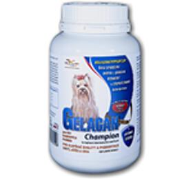 Gelacan Champion barva plv 150 g