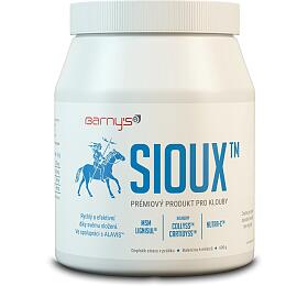 Barny's SIOUX 600g