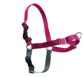 PetSafe® Postroj EasyWalk malinový M