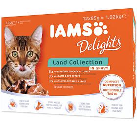 Kapsiky pro koky IAMS Land Collection multipack, 1020g