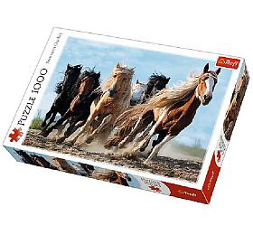 TREFL Puzzle Cvlajc kon 1000 dlk 68,3x48cm v krabici 40x27x6cm