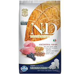 N&amp;D LG DOG Puppy M/L Lamb &amp; Blueberry 12kg