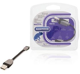 Bandridge BBM39300B01 - synchronizan a nabjec kabel Apple Lightning, USB A zstrka, 0.1 m, ern