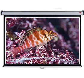 NOBO nstnn projekn pltno NOBO, 200x135cm (16:10) (1902393W)