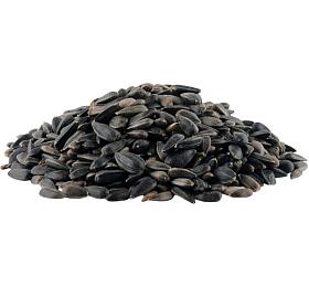 Slunečnice černá Avicentra 1kg