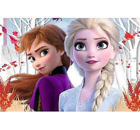 TREFL Puzzle Ledov krlovstv II/Frozen II 60 dlk 33x22cm v krabici 21x14x4cm