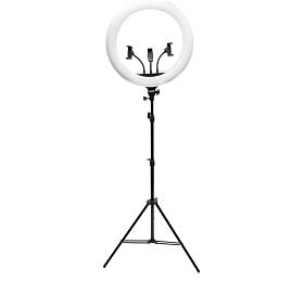 RIO PROFESSIONAL MAKEUP & VLOGGING 18-INCH DIMMABLE LED RING LIGHT