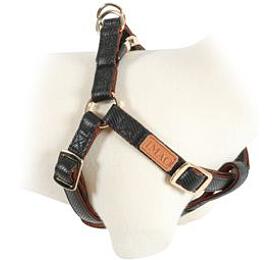 Postroj pes MAYFAIR nastaviteln ern 25mm Zolux