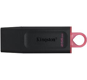 KINGSTON DataTraveler EXODIA 256GB / USB 3.2 / erno-erven (DTX/256GB)