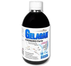 Orling Gelacan Chondro Forte Biosol 500ml