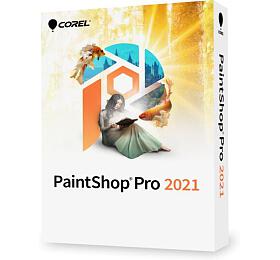 PaintShop Pro 2022 Mini Box