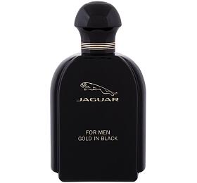 Toaletn voda Jaguar For Men Gold in Black, 100 ml