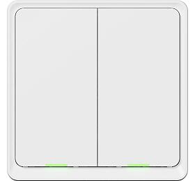 Tesla Smart Switch Dual (TSL-SWI-WIFI2)