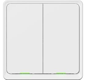 Tesla Smart Switch Dual Battery (TSL-SWI-SCENEZG2)