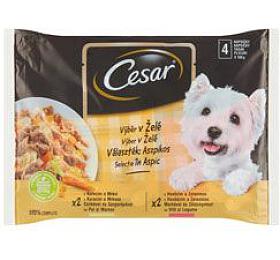 Cesar Selection kapsa v el 4x100g