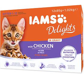 Pamlsky pro koky Iams Kot kue multipack, 12x85g