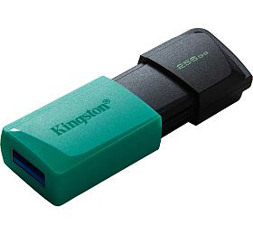 256GB Kingston USB 3.2 (gen 1) DT Exodia M (DTXM/256GB)