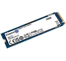 Kingston Flash SSD 250G NV2 M.2 2280 PCIe 4.0 NVMe SSD (SNV2S/250G)