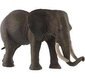 Figurka Zooted Slon africký, plast, 17 cm