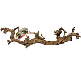 Lucky Reptile Grapevine S 30-45 cm