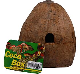Lucky Reptile Coco Box