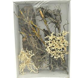 Lucky Reptile Deco Set Desert