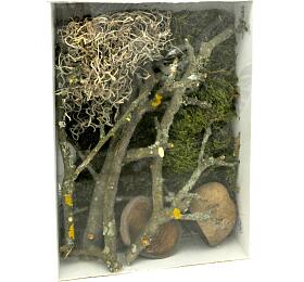 Lucky Reptile Deco Set Jungle