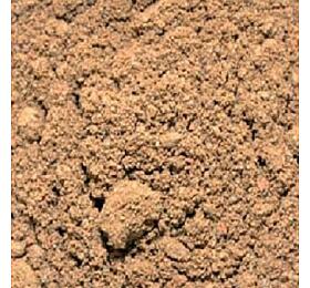 Lucky Reptile Desert Bedding