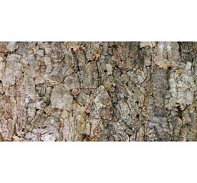 Lucky Reptile Korkov pozad - Drsn 60x30 cm Drsn