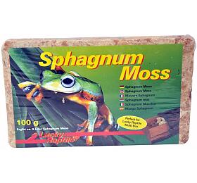 Lucky Reptile Sphagnum Moss - raelink 100g/5 l