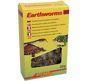 Lucky Reptile Earthworms 10g