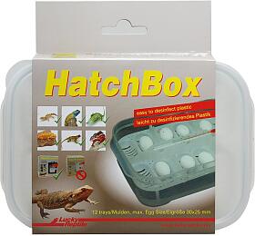 Lucky Reptile HatchBox 17x11 cm