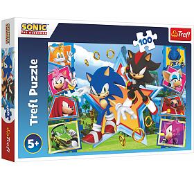 TREFL Puzzle Seznamte se se Sonicem/Sonic the Hedgehog 100 dlk 41x27,5cm v krabici 29x19x4cm