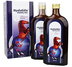 Hyalutidin Mobility HCC 2x500ml