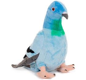 Teddies Holub plyš 25cm 0m+