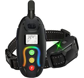 Reedog RS1 - pro 1 psa