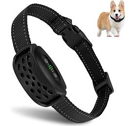 Reedog V2